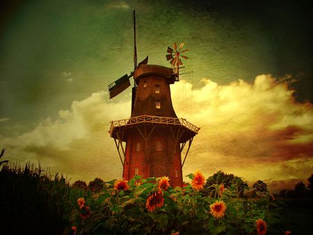 	windmill - sunflowers, windmill