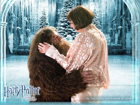 Hagrid's Dance - harry potter, entertainment, movies