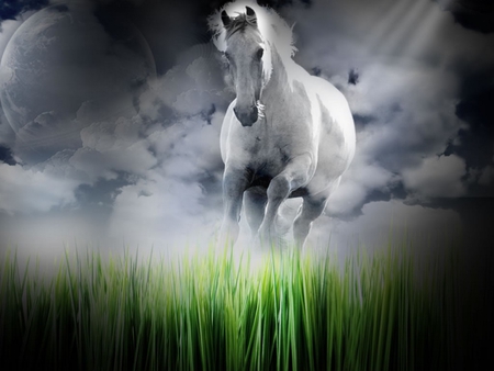 DREAM HORSE - art, horse, clouds, digital, sunrays, grass