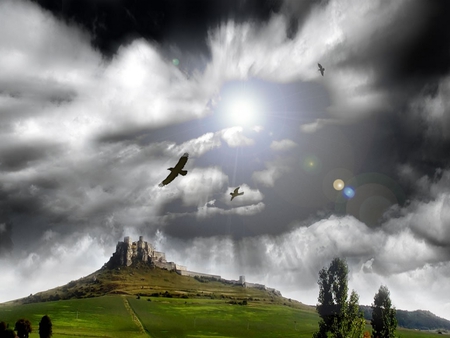 VICTORY - hill, sunshine, trees, clouds, castle, field, birds