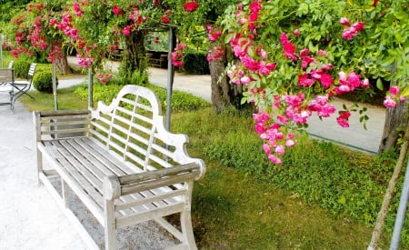 Beautiful park - park, summer, bench, lovely, spring, nature, pretty, walk, beautiful, rest, alleys, flowers, grass, garden, relax