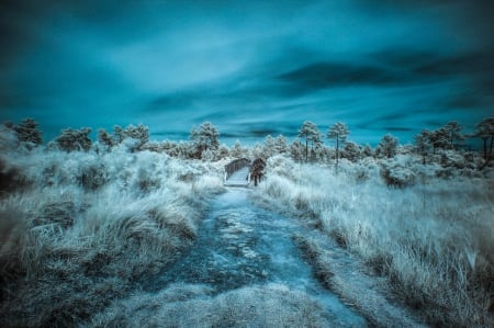 The way of the paradise - lake, field, nature, blue