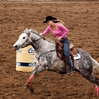 Cowgirl Barrel Racing