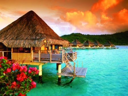 French Polynesia - flowers, clouds, sunset, cabin, pacific, sea