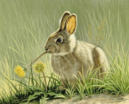 Little Rabbit - yellow, beautiful, animal, colors, lovely, little rabbit, flower, splendid