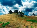 castle atop a hill