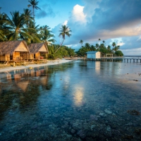 French Polynesia, the Reef