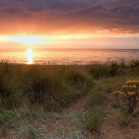 magnificent sunset on a lovely seashore