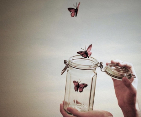 Release - wings, jar, butterflies, pink, flying, hand