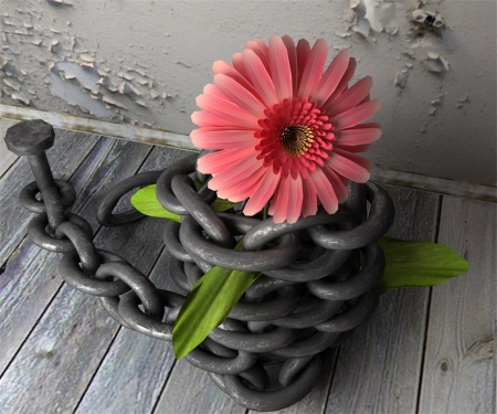 Breaking My Chains - board, chains, single, green, daisy, flower, pink