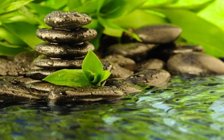 Nature Is Divine - fresh, river, water, green, clear, stones, plants, bamboo