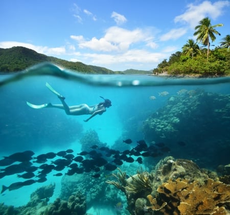 ♥Underwater♥ - diving, tropical, ocean, underwater