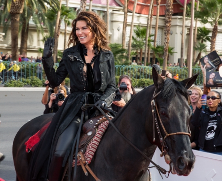 Cowgirl Shania Twain - women, girls, famous, fun, westerns, female, cowgirls, horses, shania twain