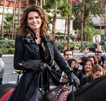 Cowgirl Shania - women, fun, girls, famous, female, parade, fashion, music, cowgirls, horses, musician