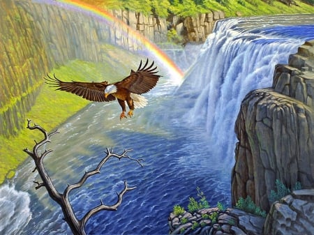 Nature and rainbow - nature, rainbow, eagle, peaceful, beautiful, river, colorful, outdoor