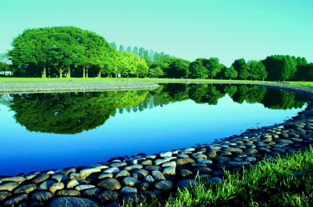 CALM PARK - trees, water, park, stones, waterfront