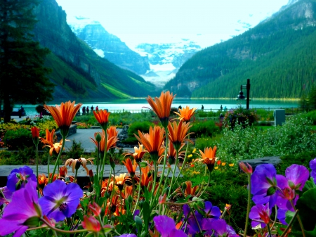 VALLEY of GLORY - nature, flowers, mountain, river