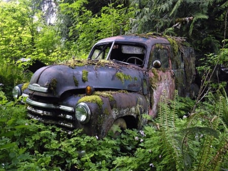 Abandoned - auto, abandoned, pickup, truck