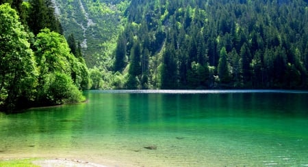 Lake Tovel, Italy - lakeshore, trees, brenta dolomites, mountains, spring, clear green water, nature park, forest, beautiful, alps