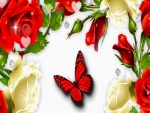 Butterfly Roses