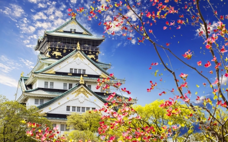 Japan in Spring - flowers, Japan, spring, city, tree, building