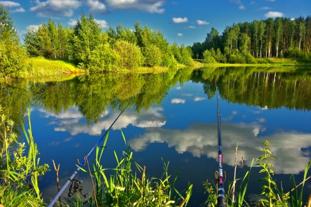 Fishing day - calm, quiet, summer, fishing, tranquil, grass, forest, reflection, shore, mirror, lake, sky, clouds, greenery, trees, river, green, serenity, day