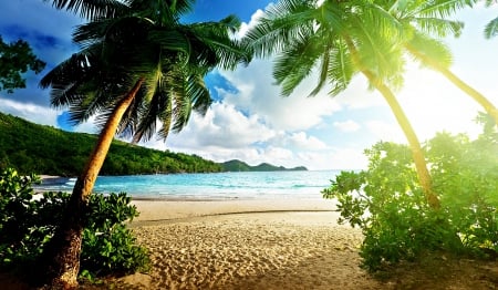 Tropical Beach - summer, sand, palms, artwork, sea, sun, sunshine