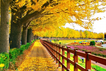 Spring Blooming - sky, landscape, yellow flowers, places, trees, photography, paradise, peoples, path, plants, road, spring, nature, seasons, leaves, splendor