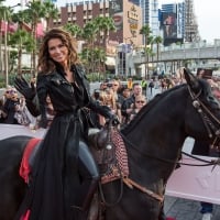 Cowgirl Shania Twain In Vegas