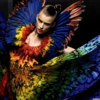 model with peacock dress