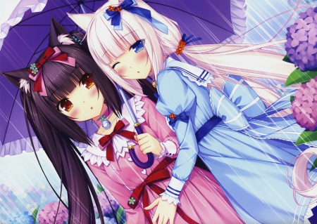 Friends - cute, vanilla, chocola, blue