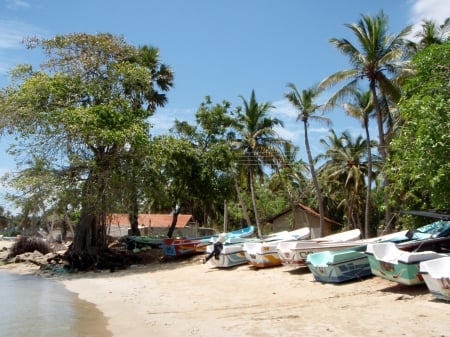 Kalpitiya - Sunshine, Fishing Boats, Palms, Sri Lanka