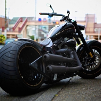 Custom Harley Davidson