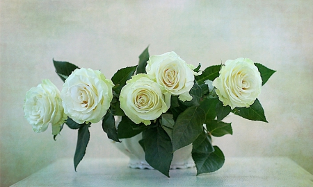 * White roses * - flower, flowers, life, still, nature