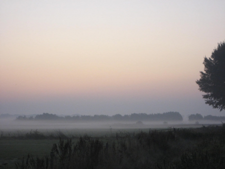 Sunrise - horizon, fog, photography, sunrise, grass, tree, nature, view, sun, sky