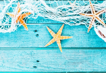 Seashells - starfish, shells, wooden, summer, seashells, summer time