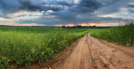 Country Road - fields, road, clouds, country