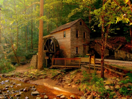 House Deep in the Forest, Norris Dam State Park, Tennessee