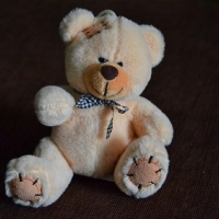 CUTE TEDDY BEAR