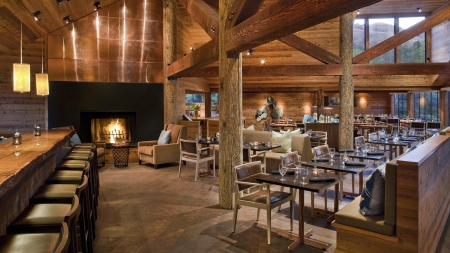 lovely rustic restaurant bar - rustic, fireplace, bar, restaurant