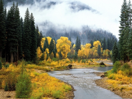 autumn river - river, trees, nature, autumn, sky