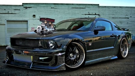 Shelby Mustang - ford, car, hot rod, mustang