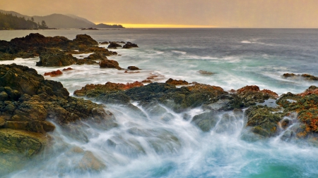 british columbia rocky seashore - surf, shore, sea, waves, rocks