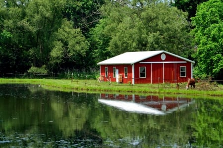 Serene Country Scene - serene country scene, scenic country, relaxing country, peaceful country, tranquil country, horse and farm, horse and barn