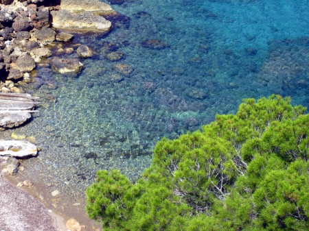 Crystal clear - photography, water, lovely, nature, ocea, beautiful, blue, green, tree, stones