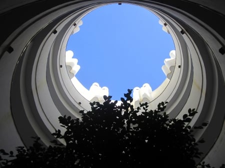 Looking up - nature, blue, photography, architecture, sky