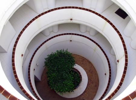 Looking down - white, round, photography, green, tree, atchitecture