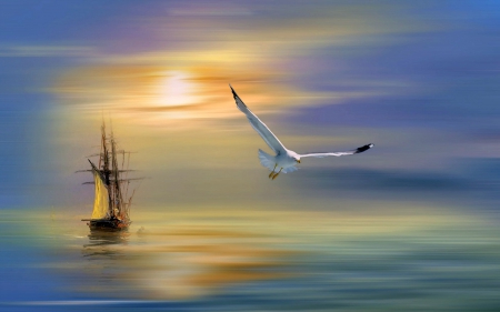 Tall Ship at Sunset - water, sunset, seagull, tall ship