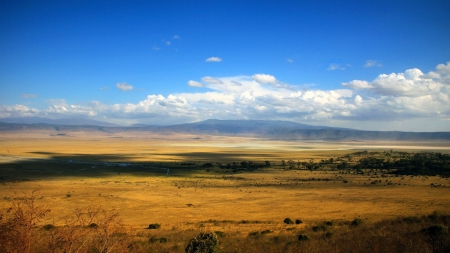 panorama view of a savannah - clouds, view, panorama, shadows, savannah