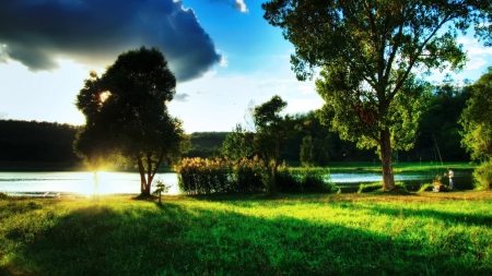 going fishing in a lake at sunrise - trees, shore, fisherman, sunrise, lake